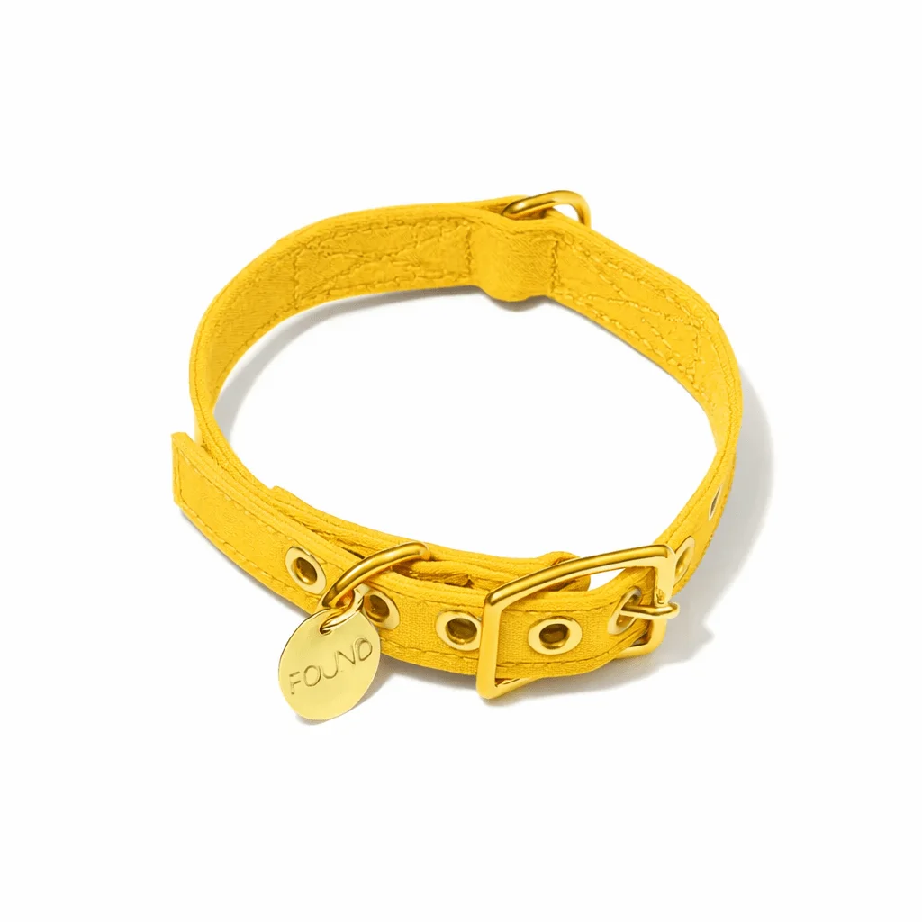 Yellow Cotton Canvas Cat & Dog Collar by Found My Animal