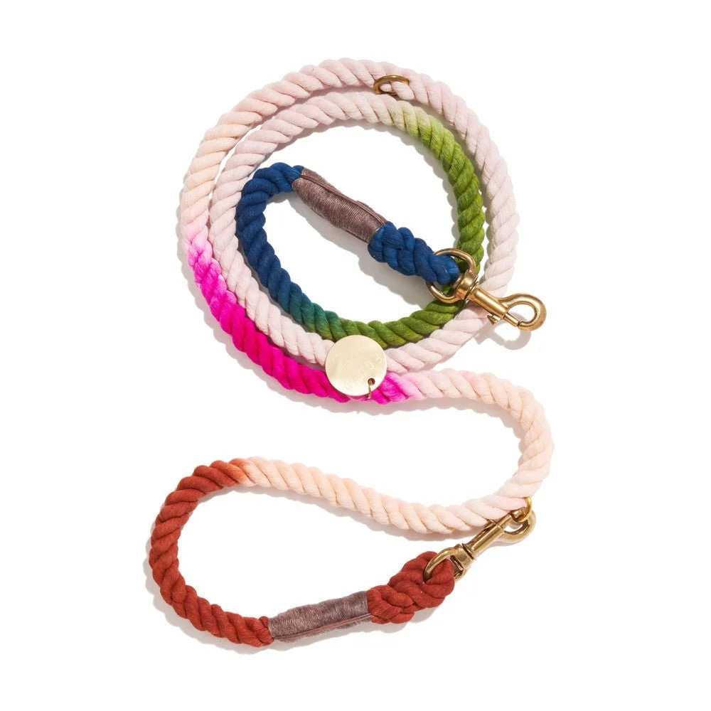 The Spring Bouquet Cotton Rope Dog Leash | Bolt Snaps, Adjustable | Found my Animal by Found My Animal