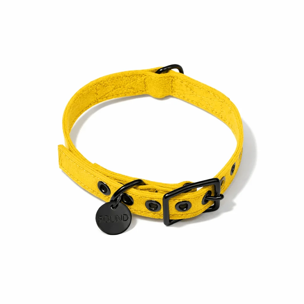 Yellow Waxed Cotton Canvas Cat & Dog Collar – Matte Black Hardware by Found My Animal