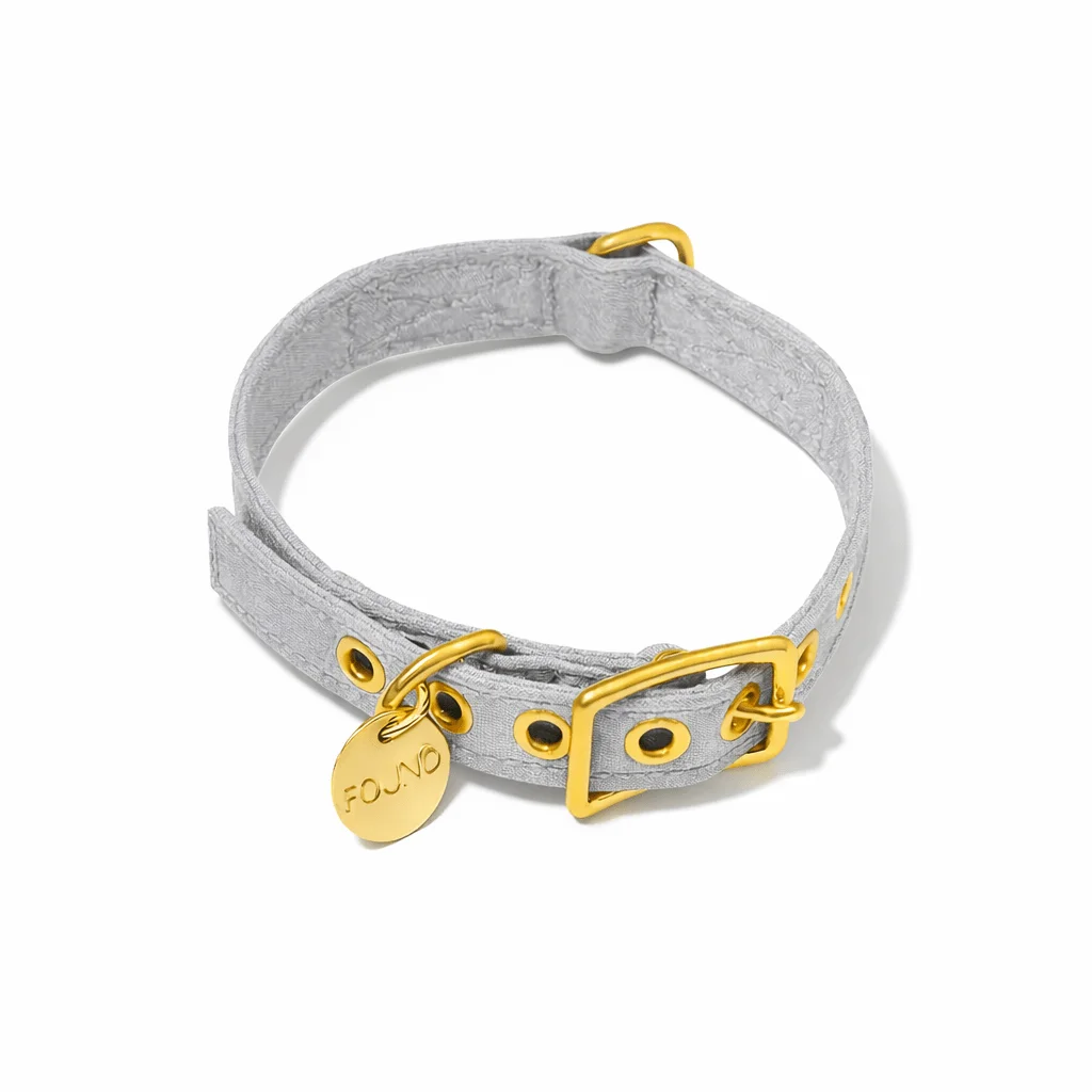 Gray Cotton Canvas Cat & Dog Collar by Found My Animal