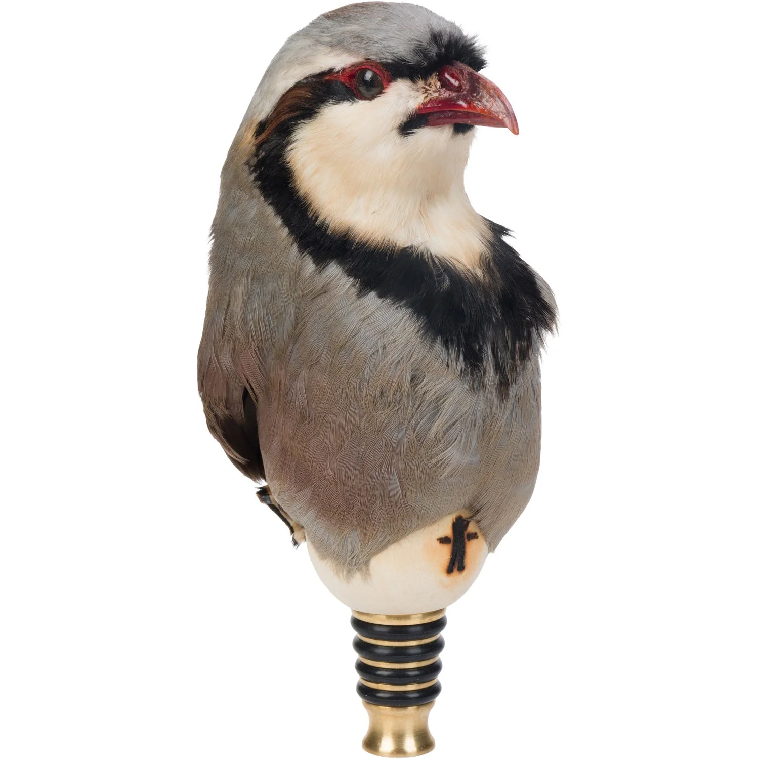 Bird Stopper - CHUKAR by Ball and Buck
