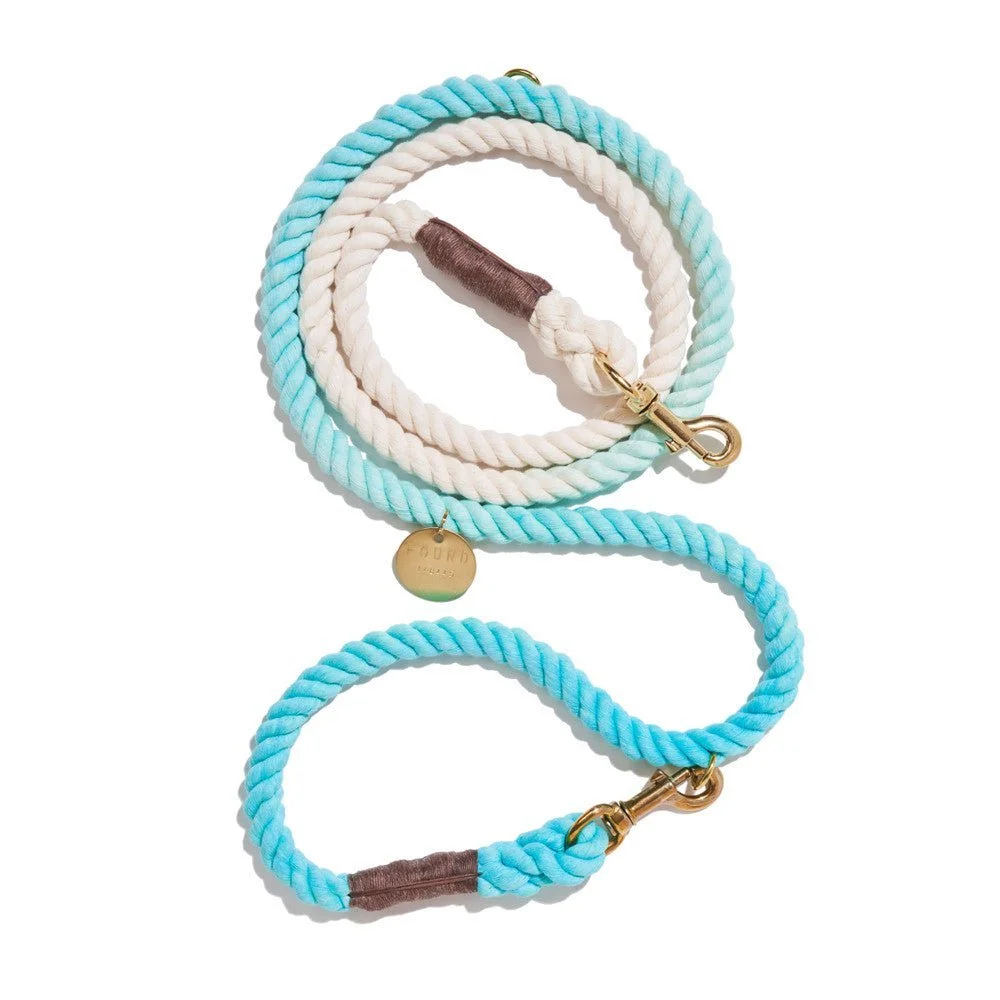 Robin's Egg Blue Rope Dog Leash | Bolt Snaps, Adjustable | Found My Animal by Found My Animal
