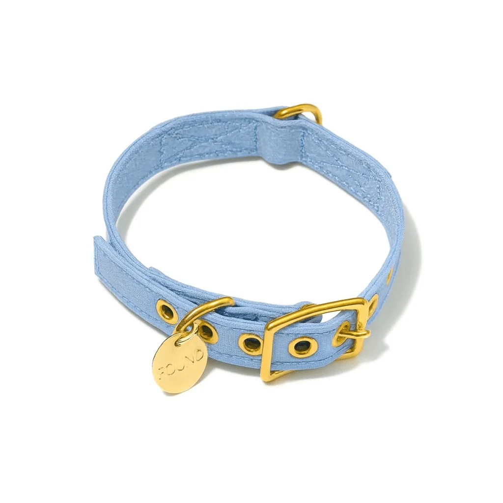 Light Blue Cotton Canvas Cat & Dog Collar by Found My Animal