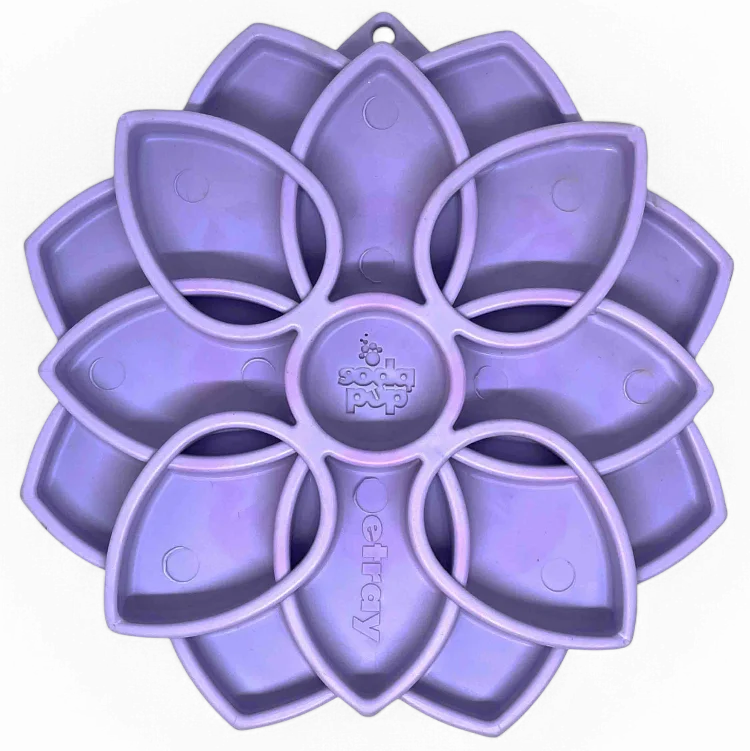 Mandala Softie eTray Shallow Slow Feeder Dog Bowl with Suction Cups | USA Made by SodaPup
