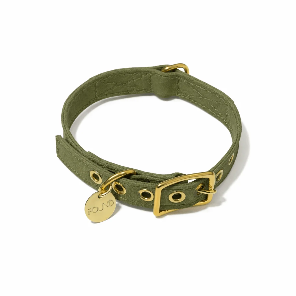 Olive Cotton Canvas Cat & Dog Collar by Found My Animal