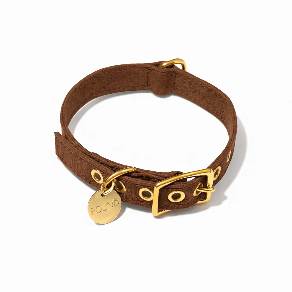 Cinnamon Cotton Canvas Cat & Dog Collar by Found My Animal