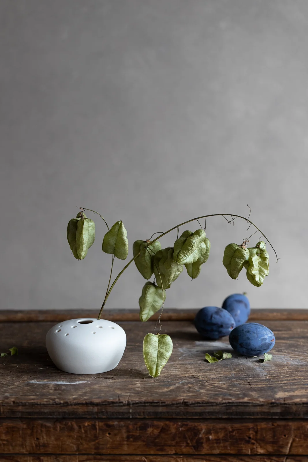 Porcelain Flower Frog by Notary Ceramics