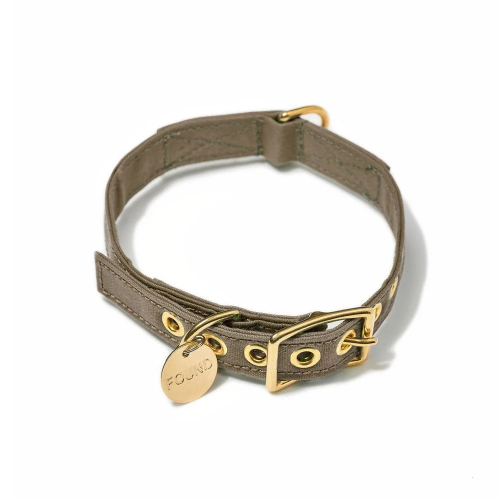 Brown Cotton Canvas Cat & Dog Collar by Found My Animal