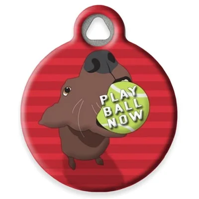 Play Ball Now Pet ID Tag by Dog Tag Art by Lupine Pet