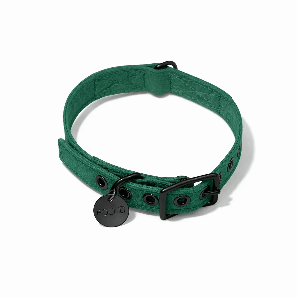 Pine Waxed Cotton Canvas Cat & Dog Collar – Matte Black Hardware by Found My Animal