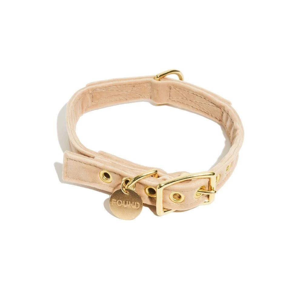 Cream Washable Velvet Cat & Dog Collar by Found My Animal