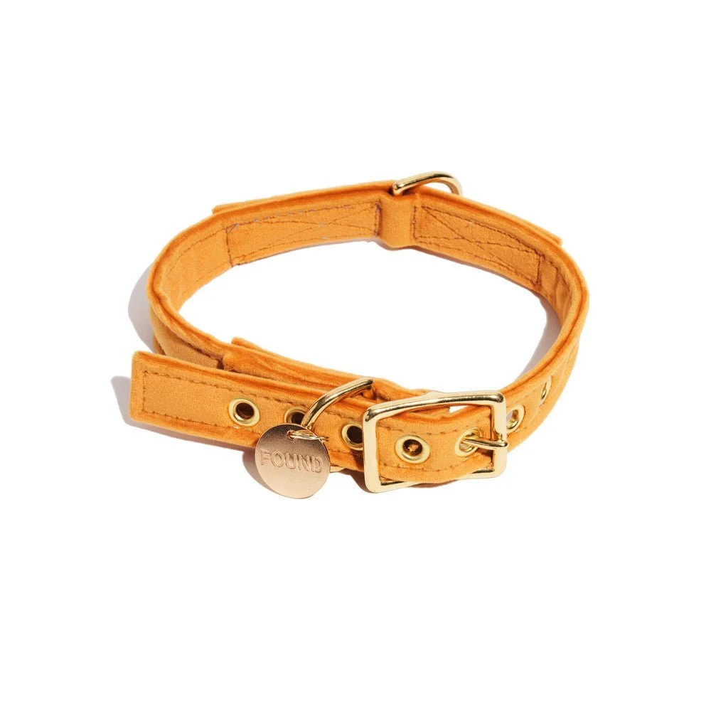 Marigold Washable Velvet Cat & Dog Collar by Found My Animal