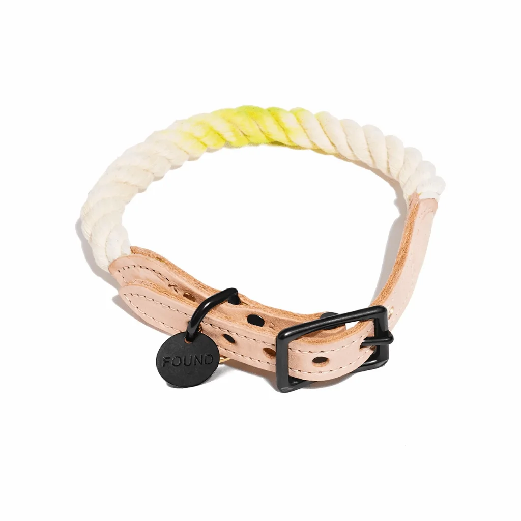 Lime Cotton Rope Cat & Dog Collar – Matte Black Hardware by Found My Animal