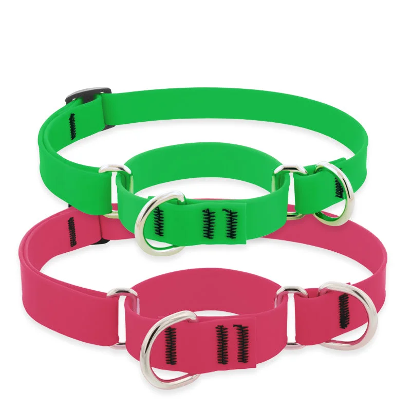 Martingale Collar in Splash Colors by Lupine Pet