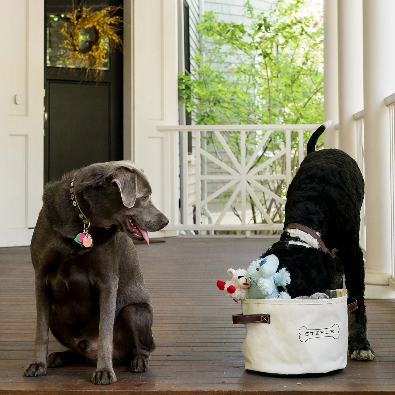 Dog Toy Basket by Steele Canvas