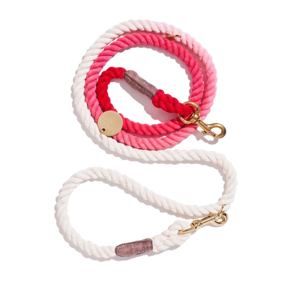 Scarlet Cotton Rope Dog Leash | Italian Solid Bronze Bolt Snaps, Adjustable | Found My Animal by Found My Animal