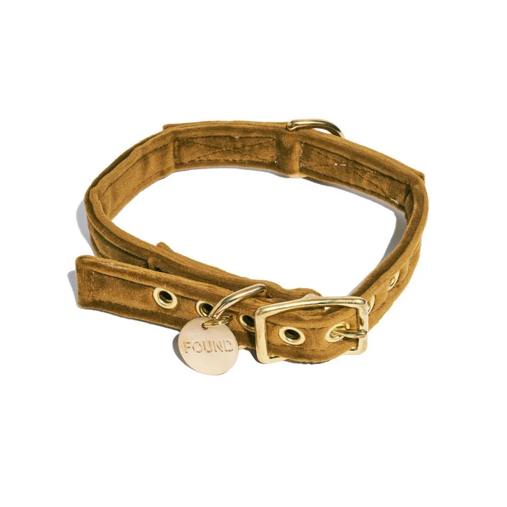 Ochre Washable Velvet Cat & Dog Collar by Found My Animal