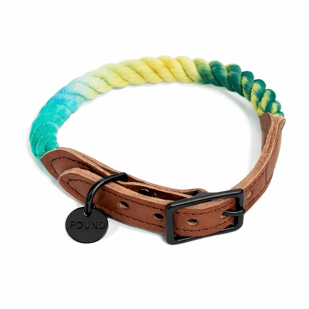 Azure Cotton Rope Cat & Dog Collar – Matte Black Hardware by Found My Animal