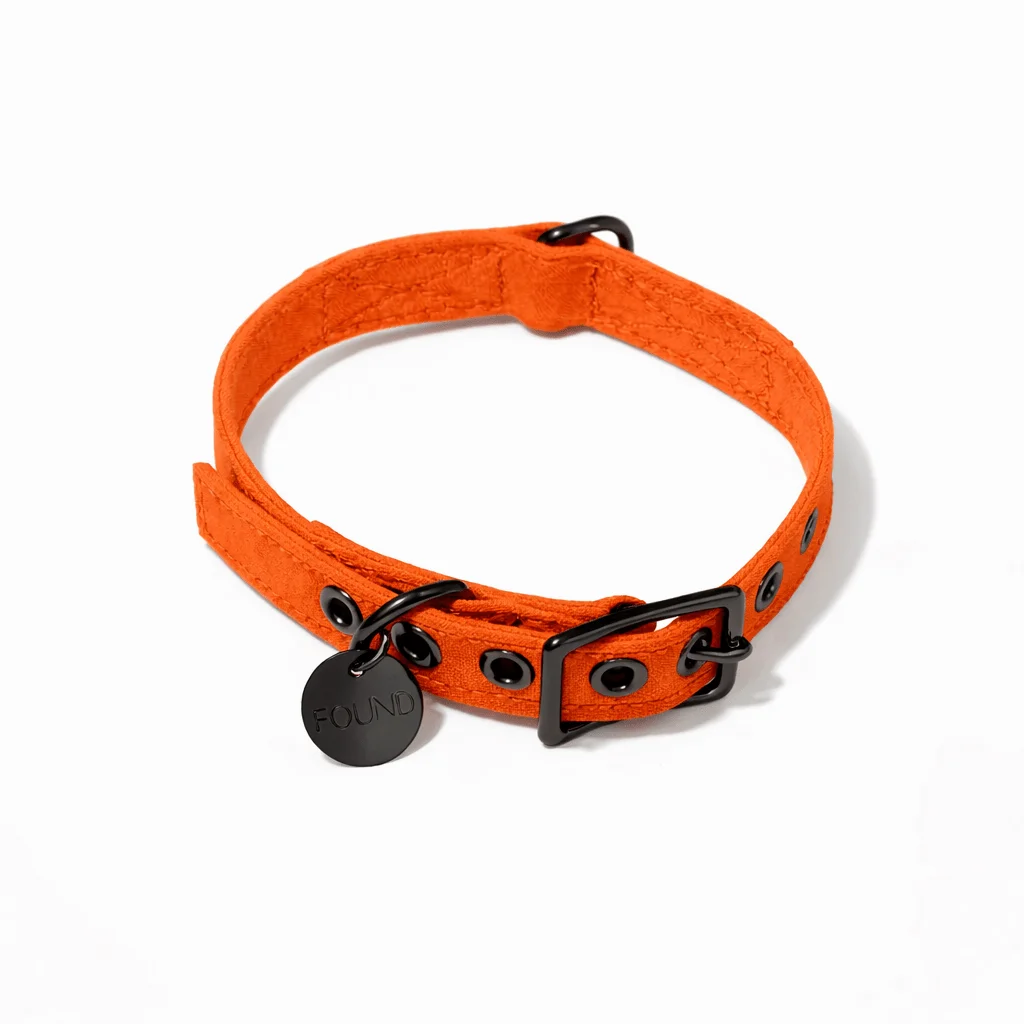 Fire Orange Waxed Cotton Canvas Cat & Dog Collar – Matte Black Hardware by Found My Animal