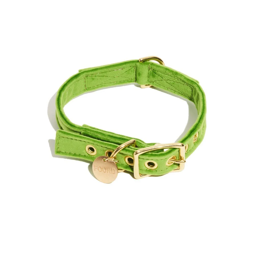 Lime Washable Velvet Cat & Dog Collar by Found My Animal
