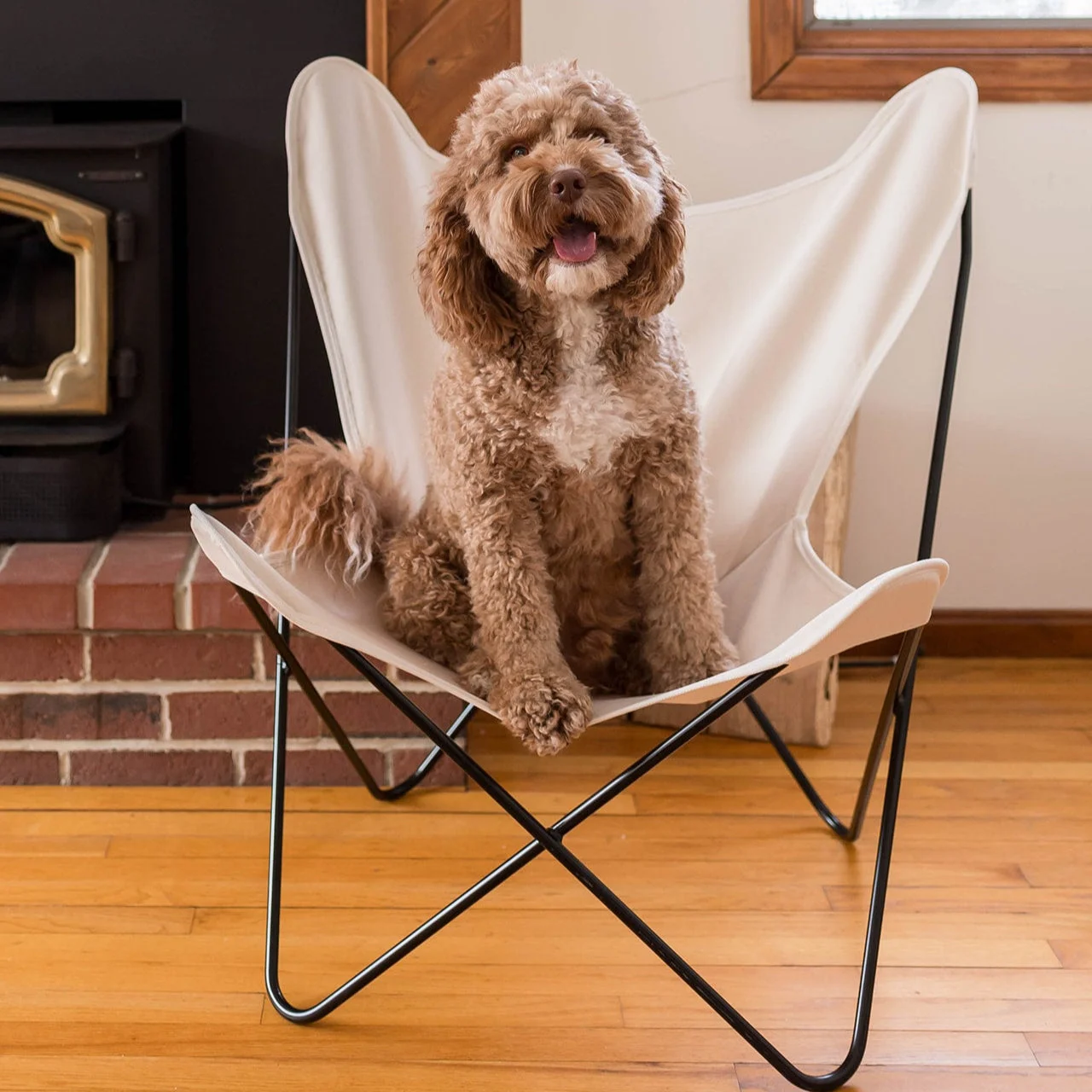 Steele Butterfly Sling Chair by Steele Canvas