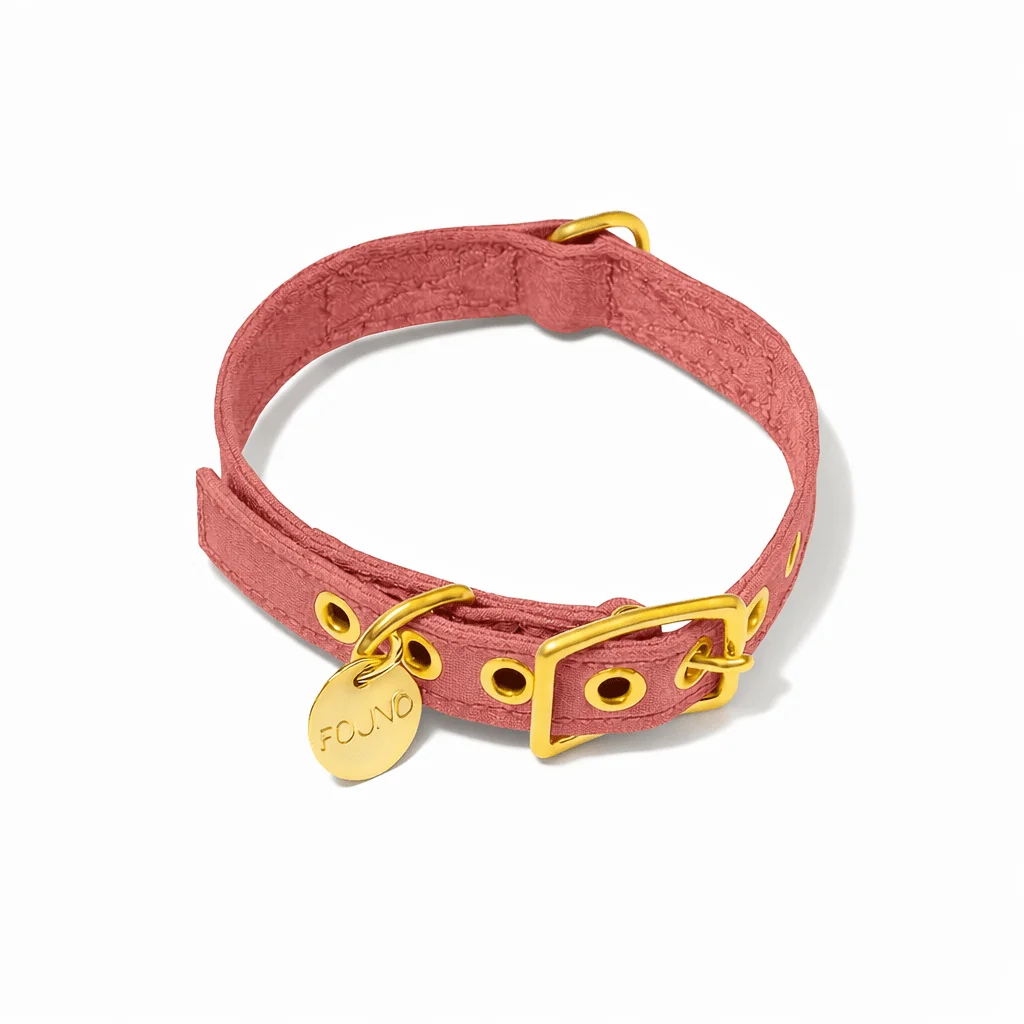 Nantucket Cotton Canvas Cat & Dog Collar by Found My Animal