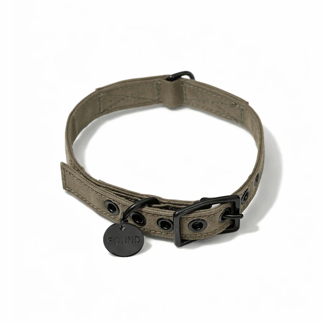 Brown Waxed Cotton Canvas Cat & Dog Collar – Matte Black Hardware by Found My Animal