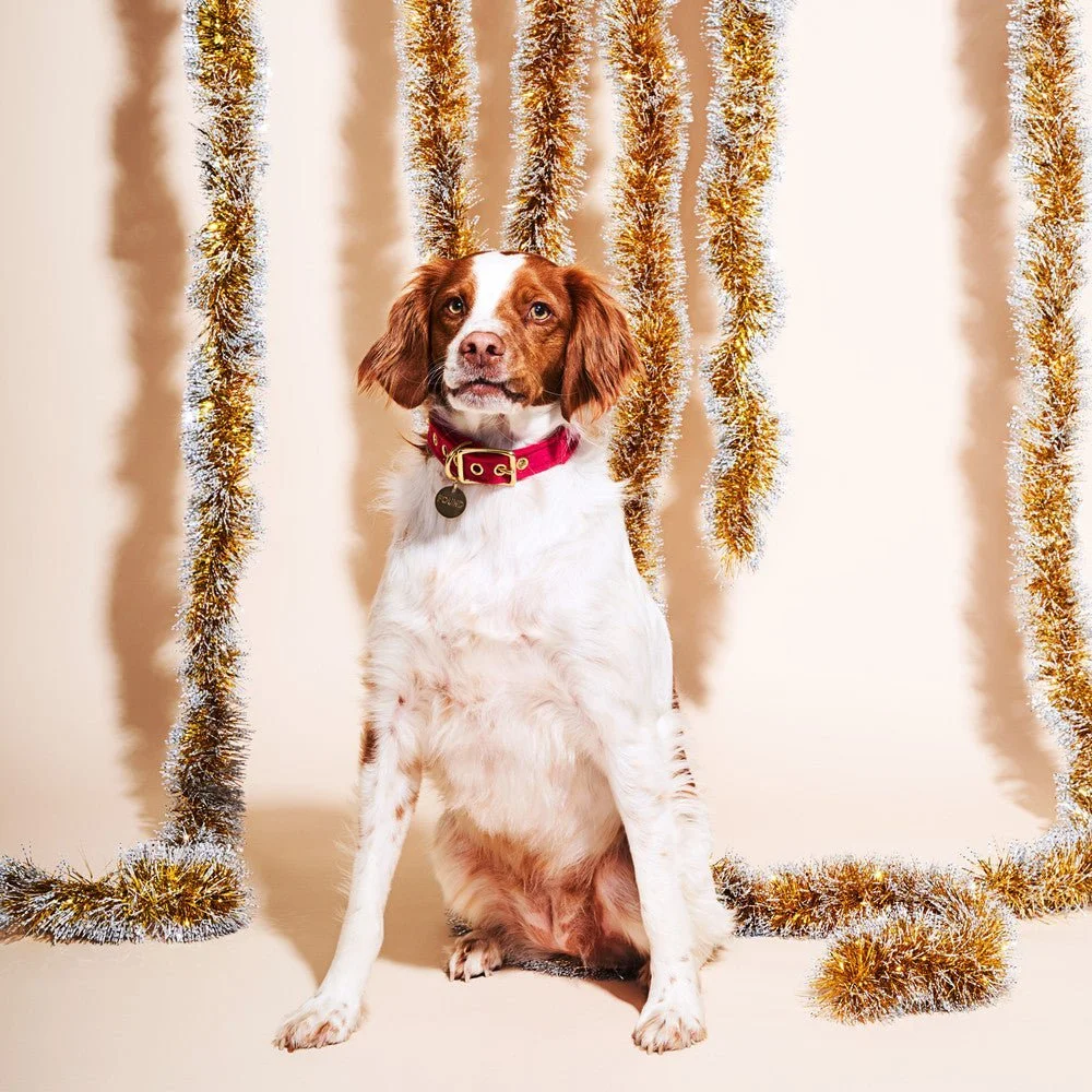 Pink Washable Velvet Cat & Dog Collar by Found My Animal