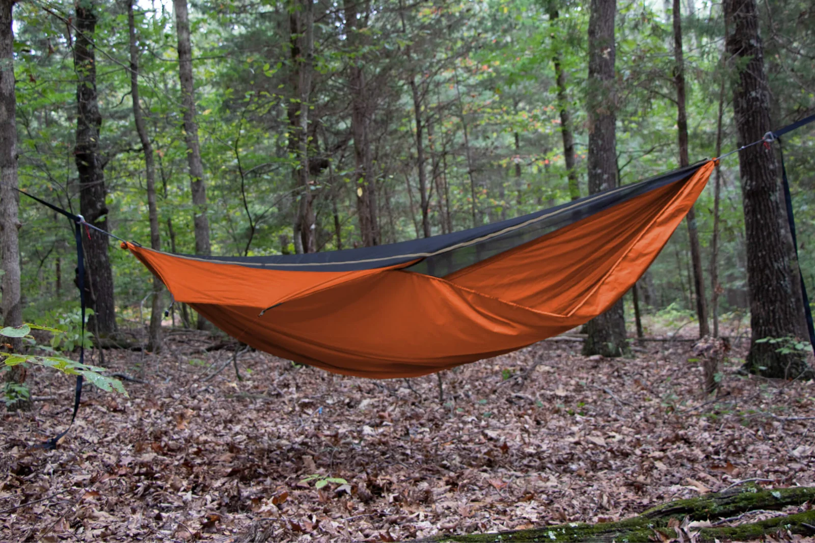 Original Blackbird 11ft by Warbonnet Outdoors
