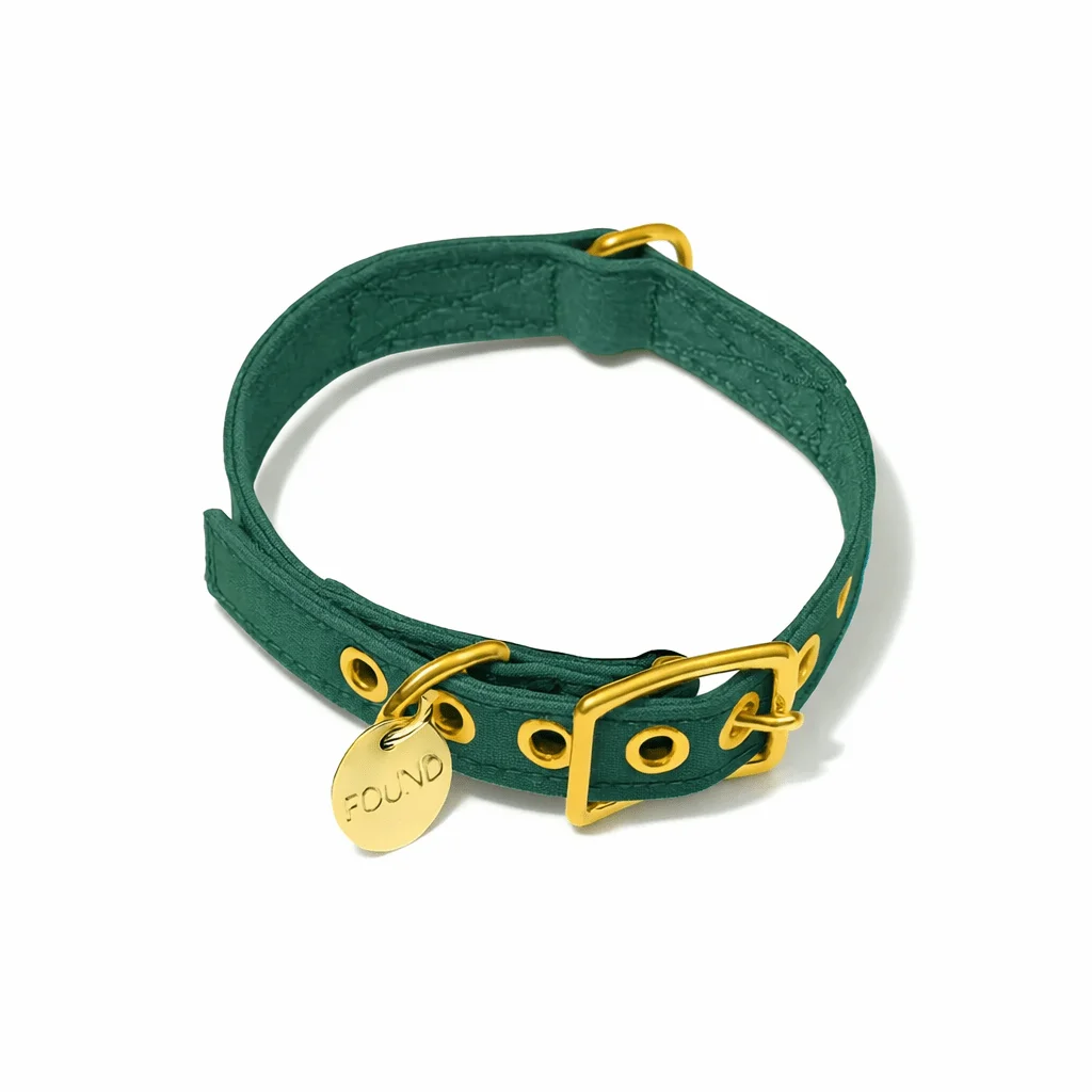 Pine Cotton Canvas Cat & Dog Collar by Found My Animal