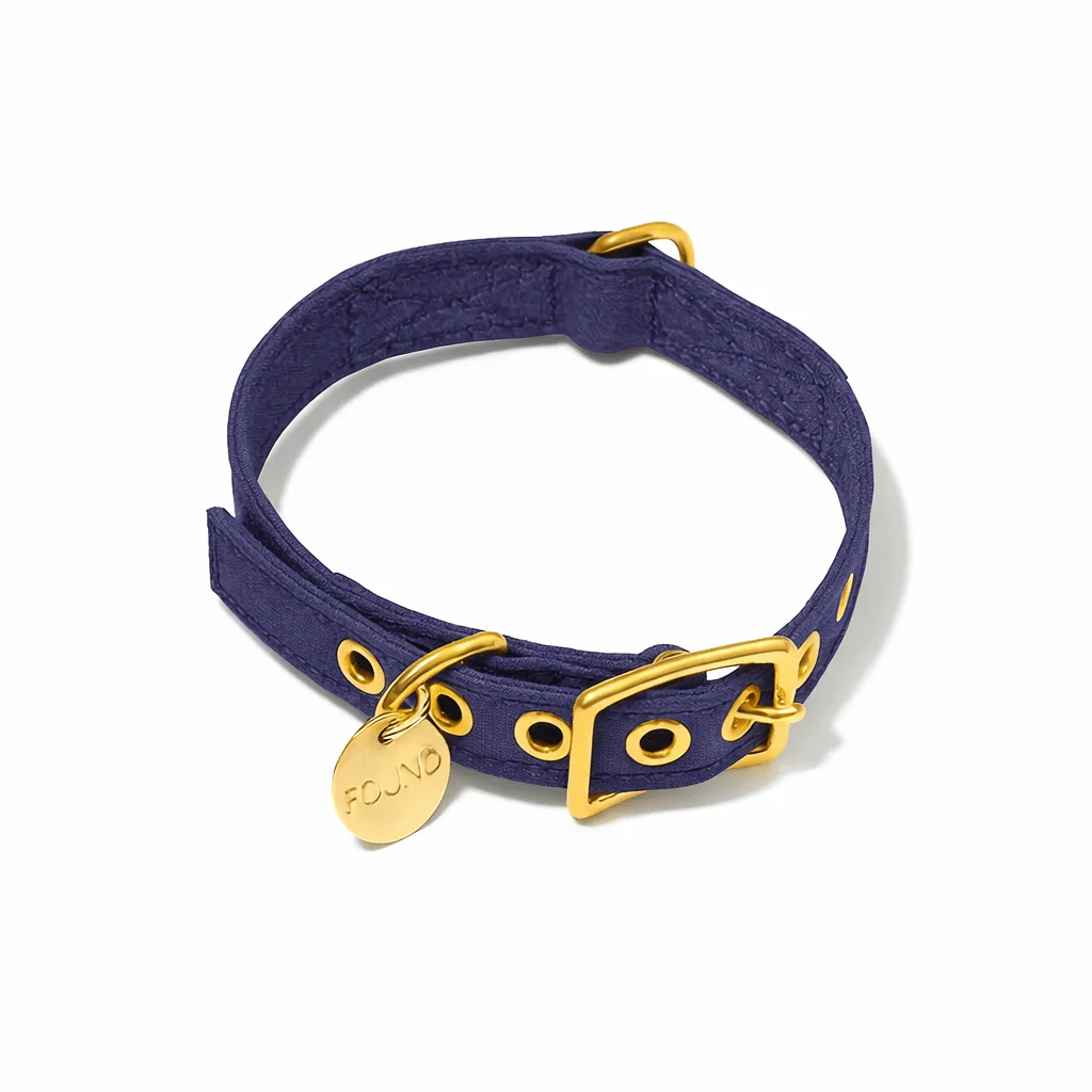 Navy Cotton Canvas Cat & Dog Collar by Found My Animal